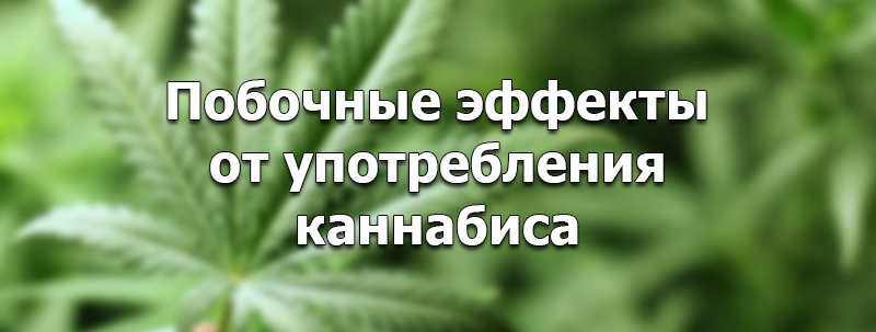 какой эффект от конопли